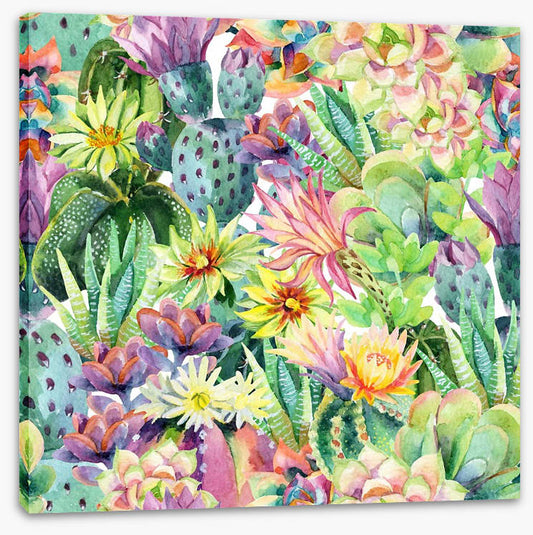 Desert bloom