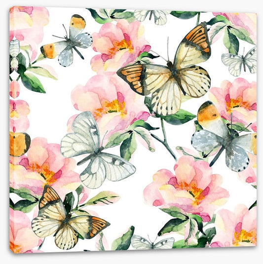 Butterflies