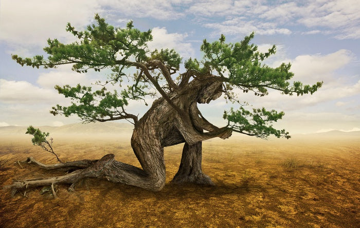 Pray for the trees
