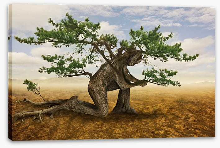 Pray for the trees