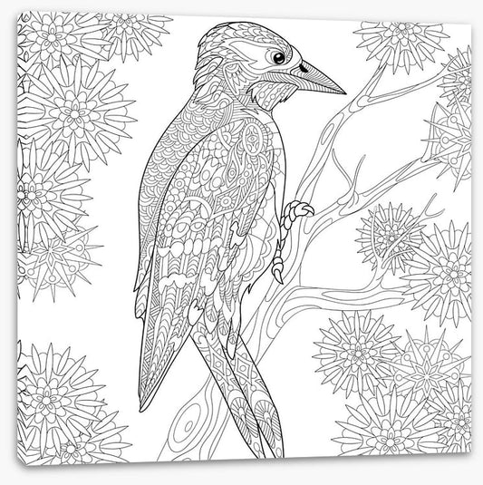 Colour me woodpecker