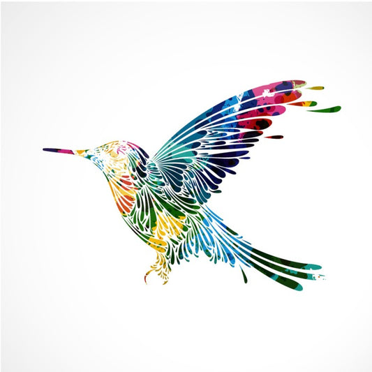 Rainbow hummingbird