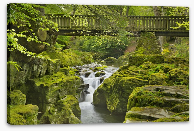 Rivers
