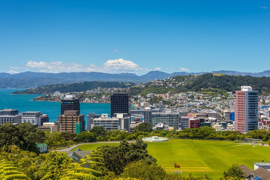 Wellington skyline