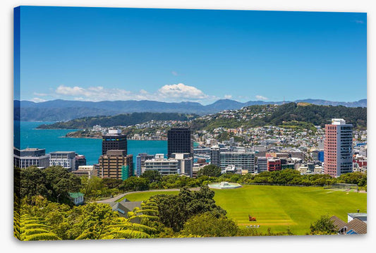 Wellington skyline
