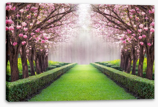 Between the blossom