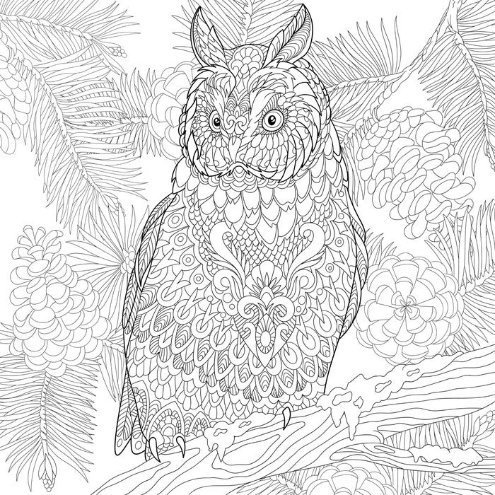 Colour me owl