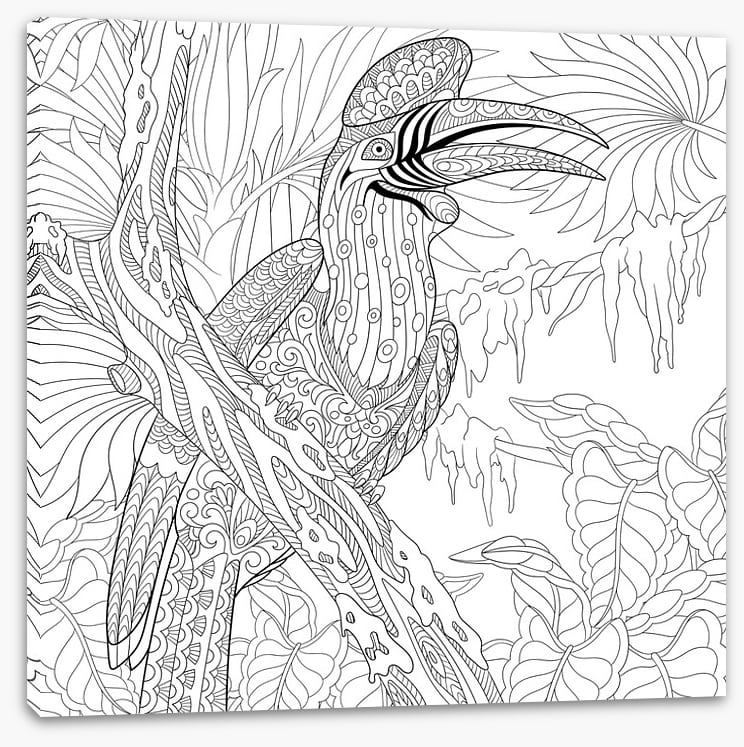 Colour me hornbill