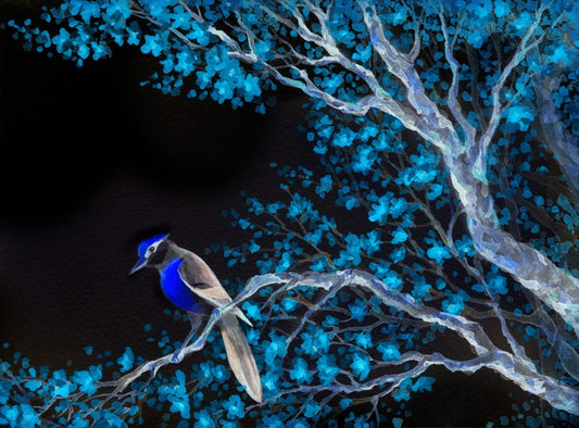 Midnight serenade