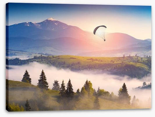 Above the clouds