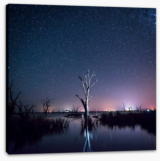 Starlight shadows