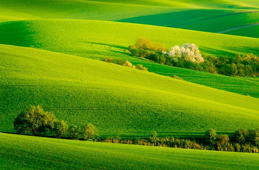 Rolling green