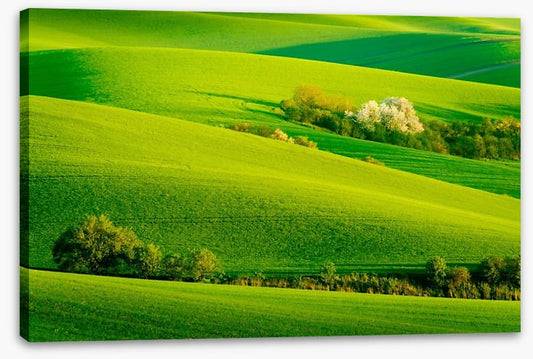 Rolling green