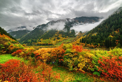 Fallen clouds