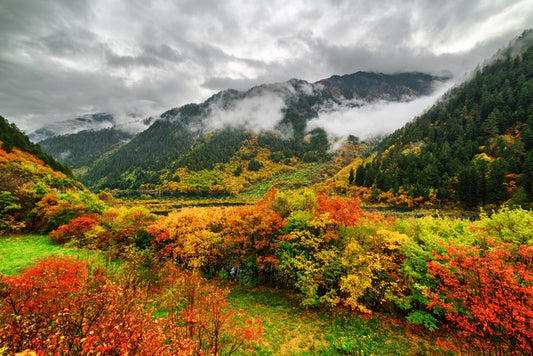 Fallen clouds