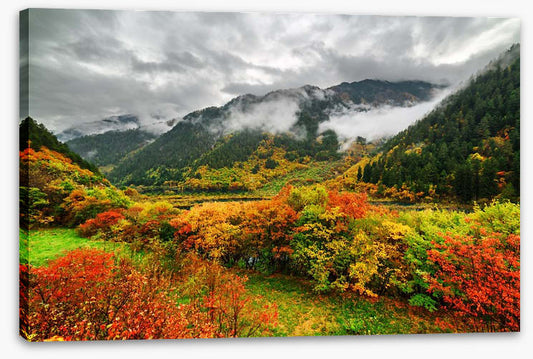 Fallen clouds