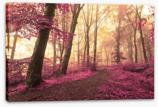 Forest blush