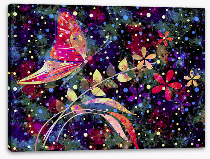 Starry night flight