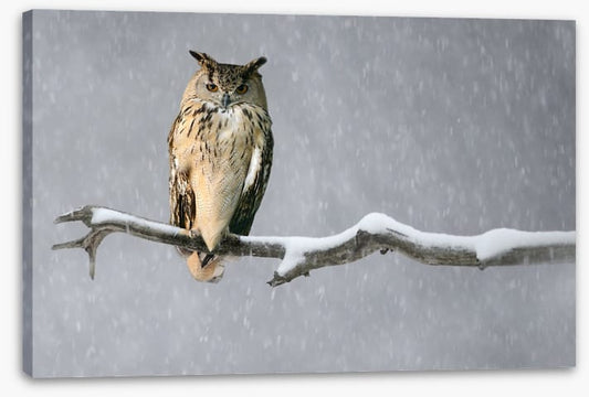 Alone in the snow