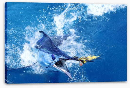 Blue marlin bait