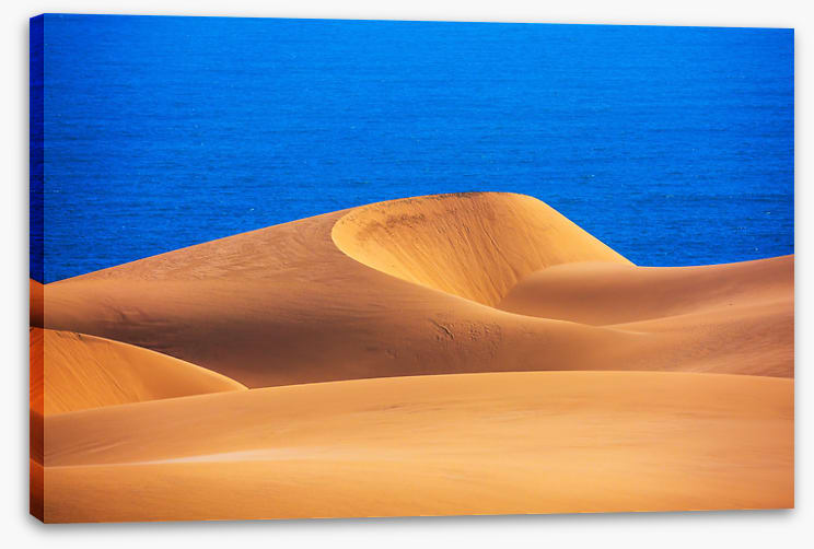 Desert ocean