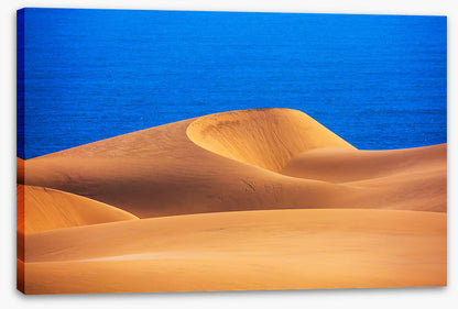 Desert ocean