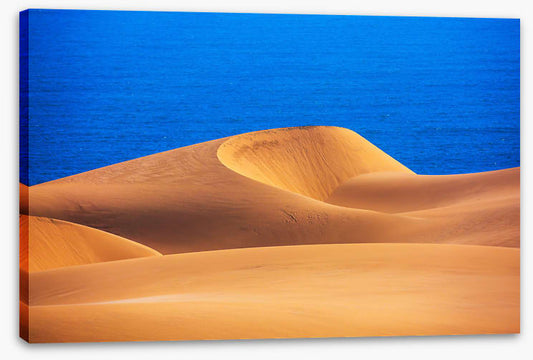 Desert ocean