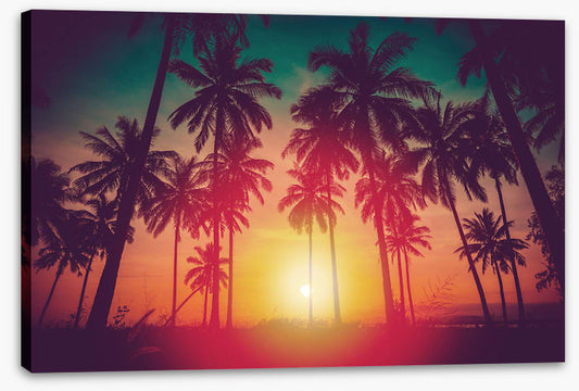 Last summer