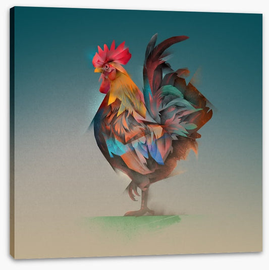Strutting rooster