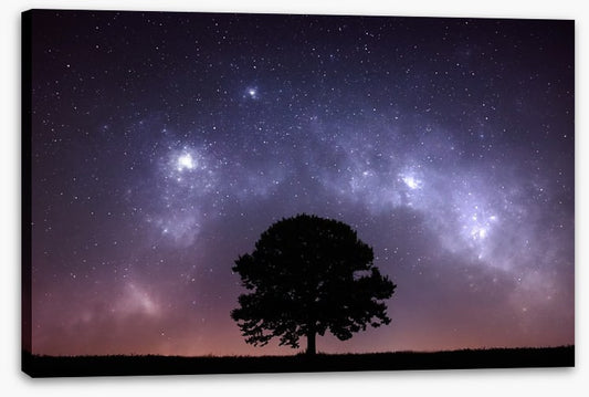 The zodiac tree