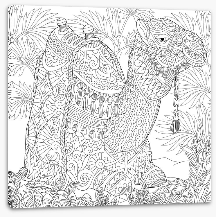 Colour me camel