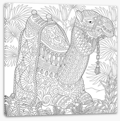 Colour me camel