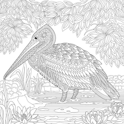 Colour me pelican