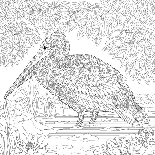 Colour me pelican