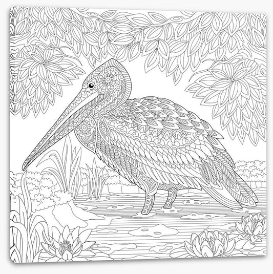 Colour me pelican