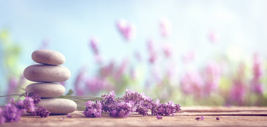 Lavender lull