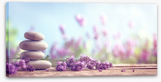 Lavender lull