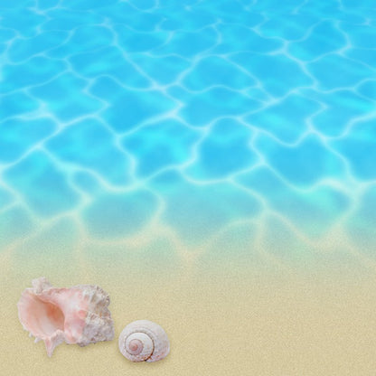 Seashell beach