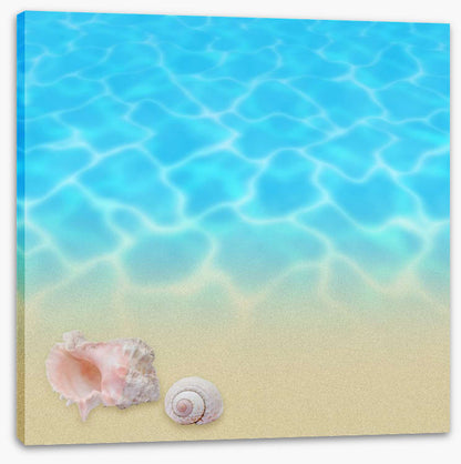 Seashell beach