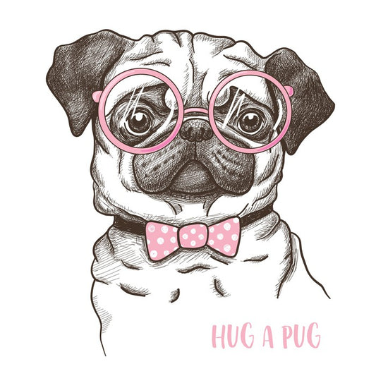 Hug a pug