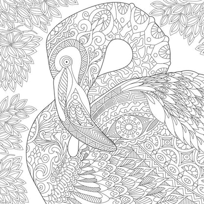 Colour me flamingo
