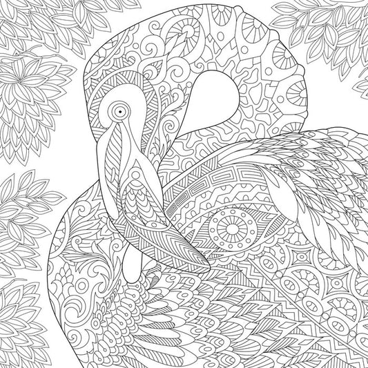 Colour me flamingo