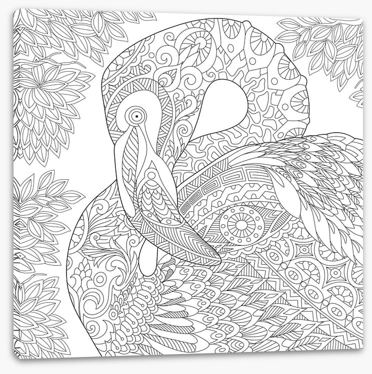 Colour me flamingo