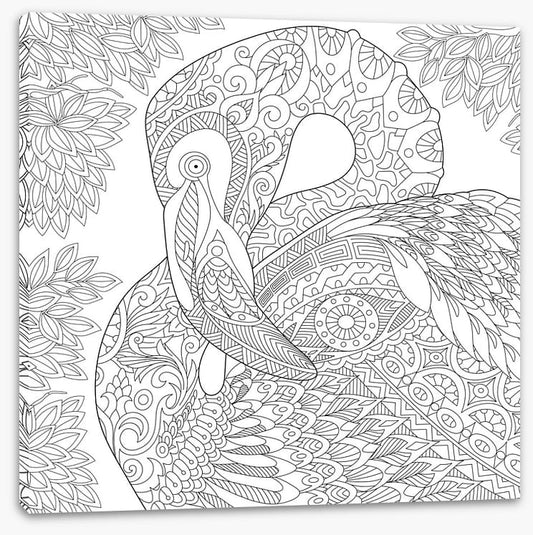 Colour me flamingo