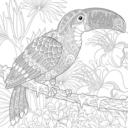 Colour me toucan