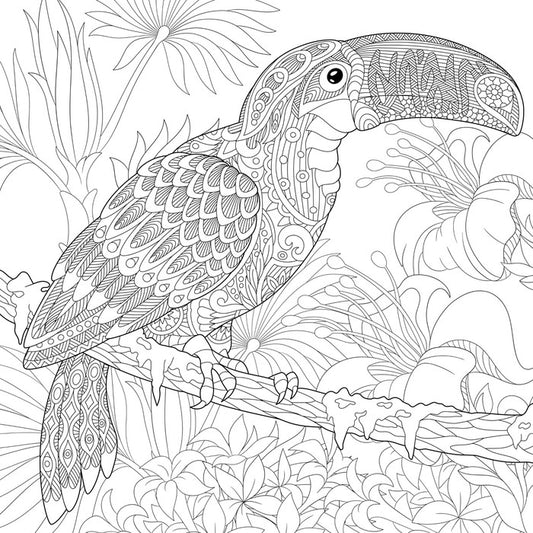 Colour me toucan