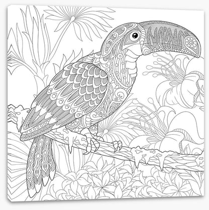 Colour me toucan