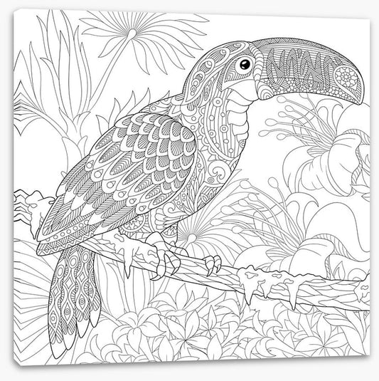 Colour me toucan
