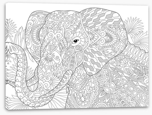 Colour me elephant