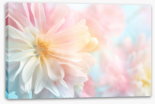 Pastel peony
